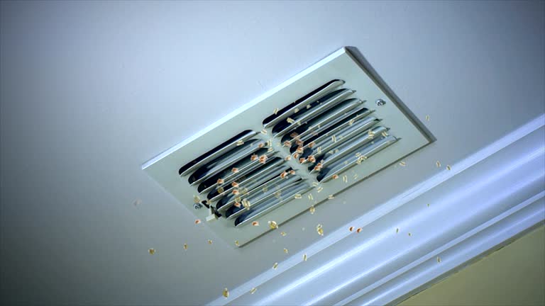 Best Air Duct Cleaning Company Near Me  in Scenic, AZ