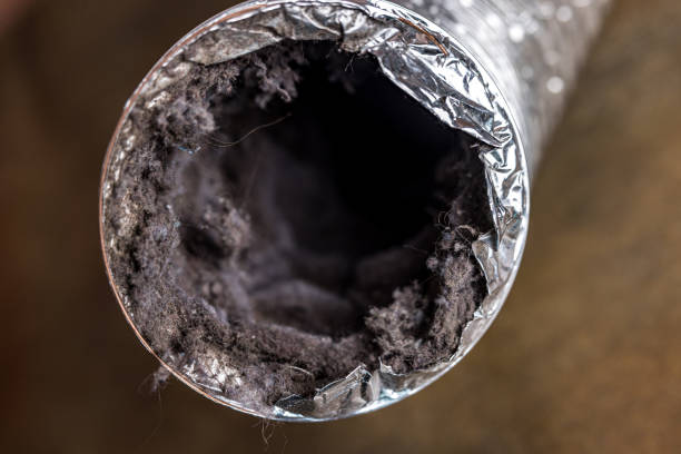 Best Emergency Air Duct Cleaning  in Scenic, AZ