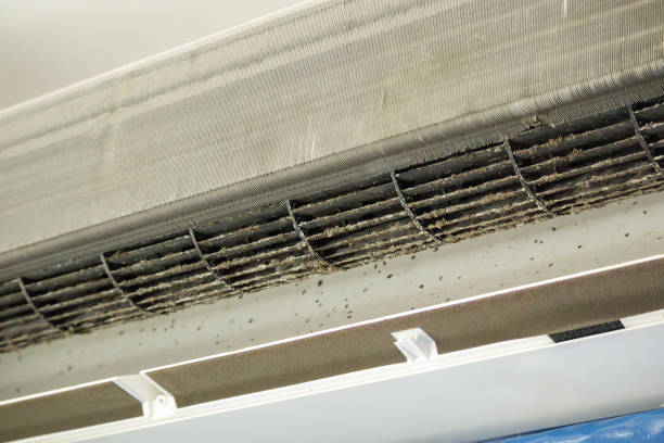 Best Ventilation Cleaning Services  in Scenic, AZ